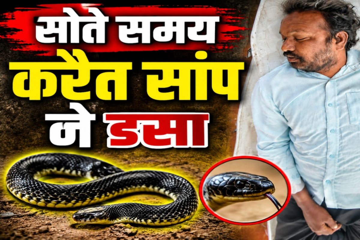 Dhamtari News: बरसात में बढ़ा सांपों का खतरा, धमतरी में कॉमन करैत के डसने से युवक की मौत, सतर्क रहने की अपील